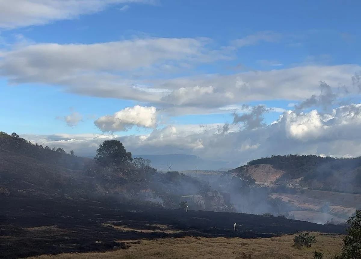 Tolima concentra la mayoría de incendios forestales activos en Colombia