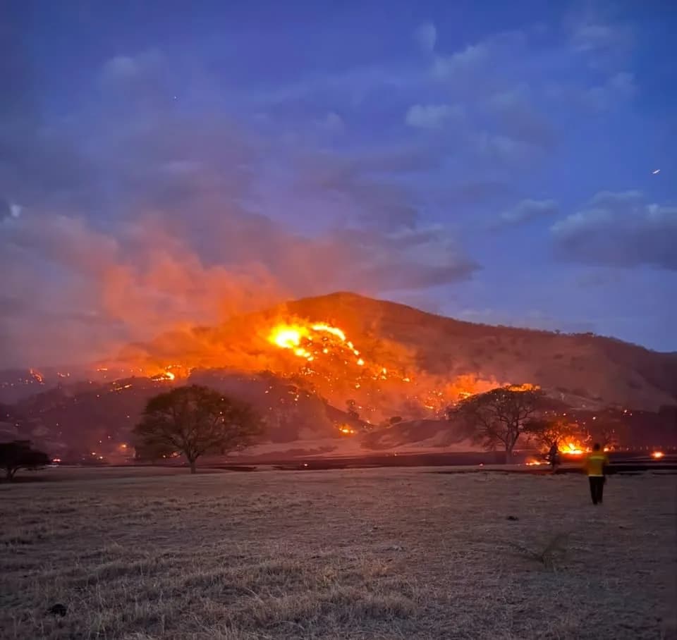 Autoridades atienden nuevas emergencias por incendios forestales en Cundinamarca