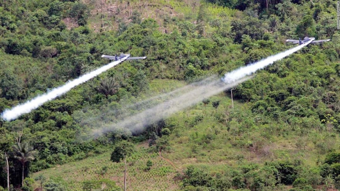 Gobierno De la Espriella tumbó prohibición de aspersión aérea con glifosato contra cultivos ilegales