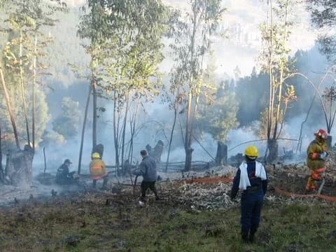 Diez incendios forestales permanecen en seguimiento en tres departamentos de Colombia