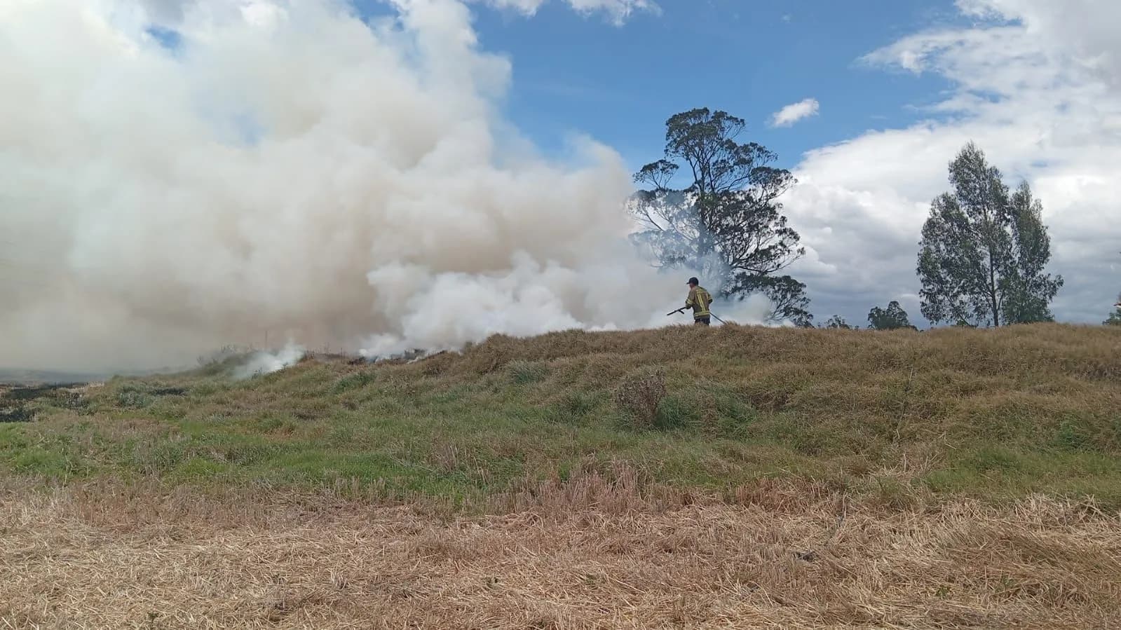 24 incendios forestales permanecen activos en siete departamentos de Colombia, con Tolima como el más afectado