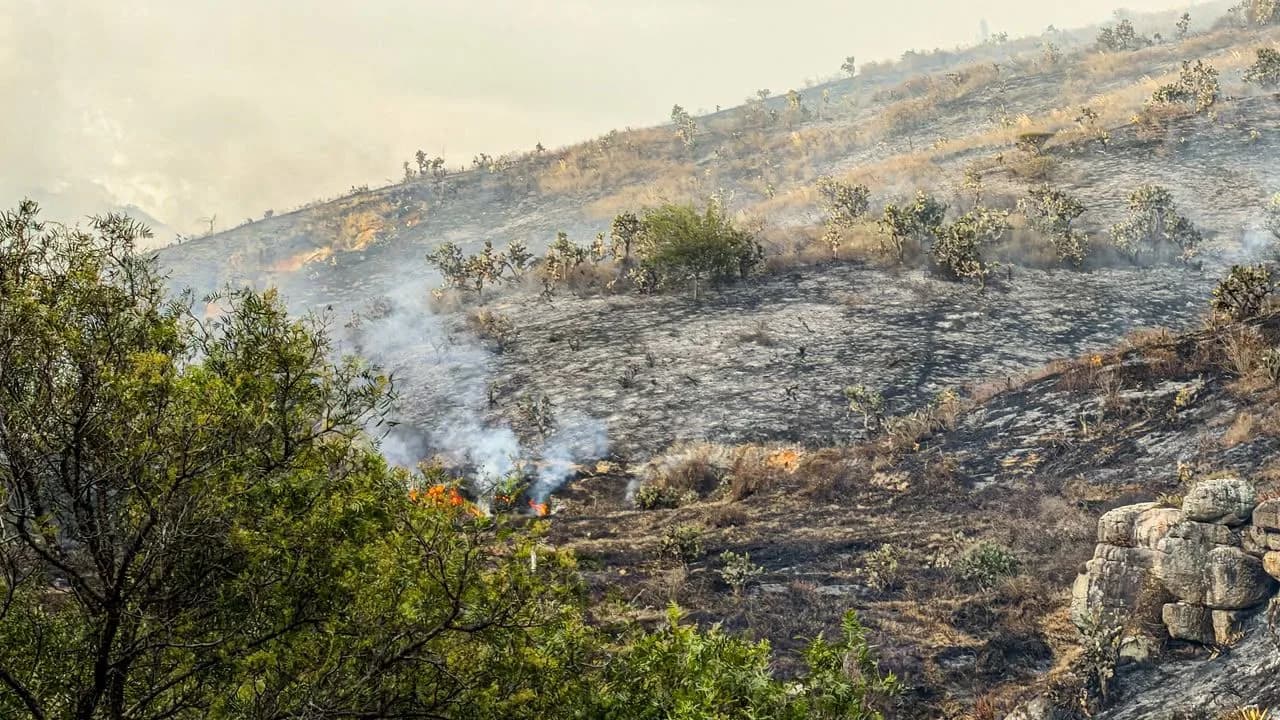 El Departamento del Tolima concentra la mayor cantidad de incendios forestales activos en Colombia