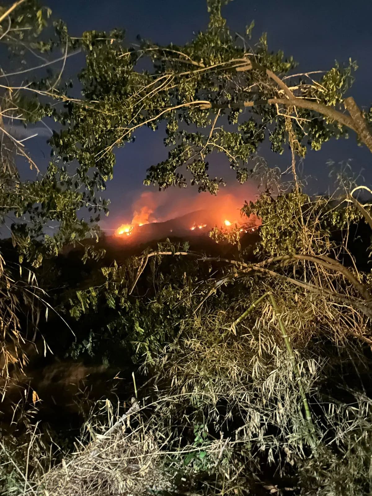 Alerta por altas temperaturas activa medidas preventivas en Cundinamarca