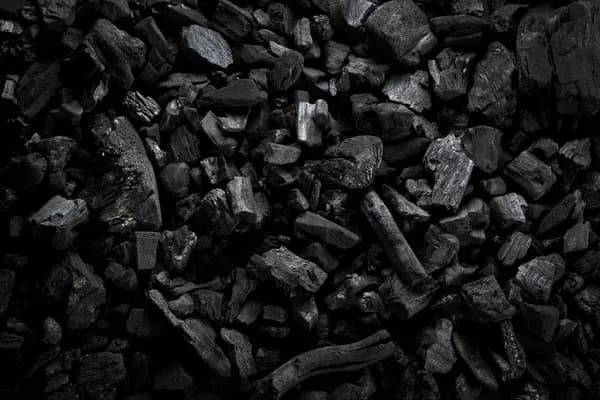 Gobierno busca la industrialización del sector minero y ratificó el papel del carbón en la seguridad energética nacional